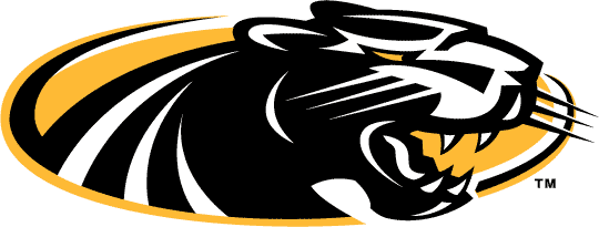 Wisconsin-Milwaukee Panthers 2002-2010 Alternate Logo DIY iron on transfer (heat transfer)